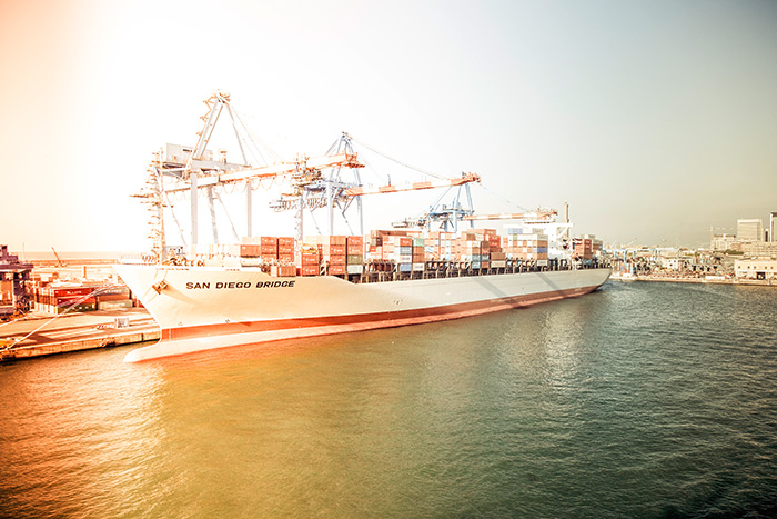drop shipping business