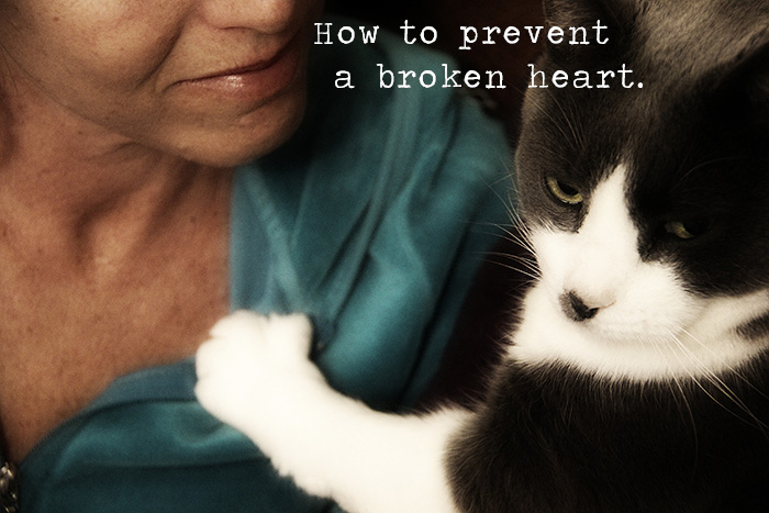 how-to-prevent-a-broken-heart-700w