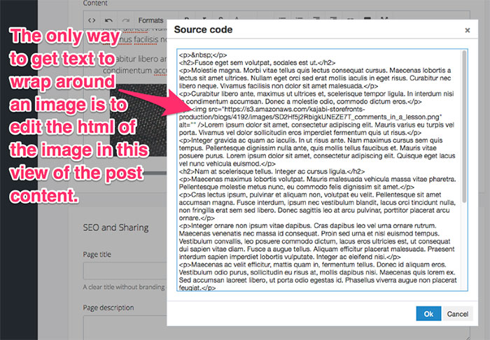 only-way-to-wrap-text-around-image